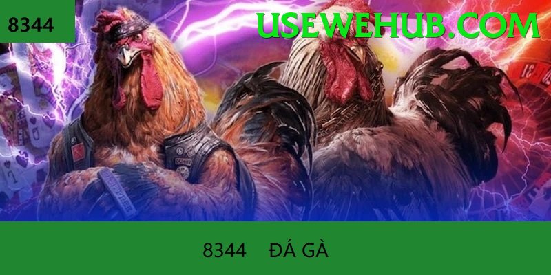 Cách Đọc Kèo Đá Gà